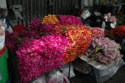COMERCIO - FLORES (2)